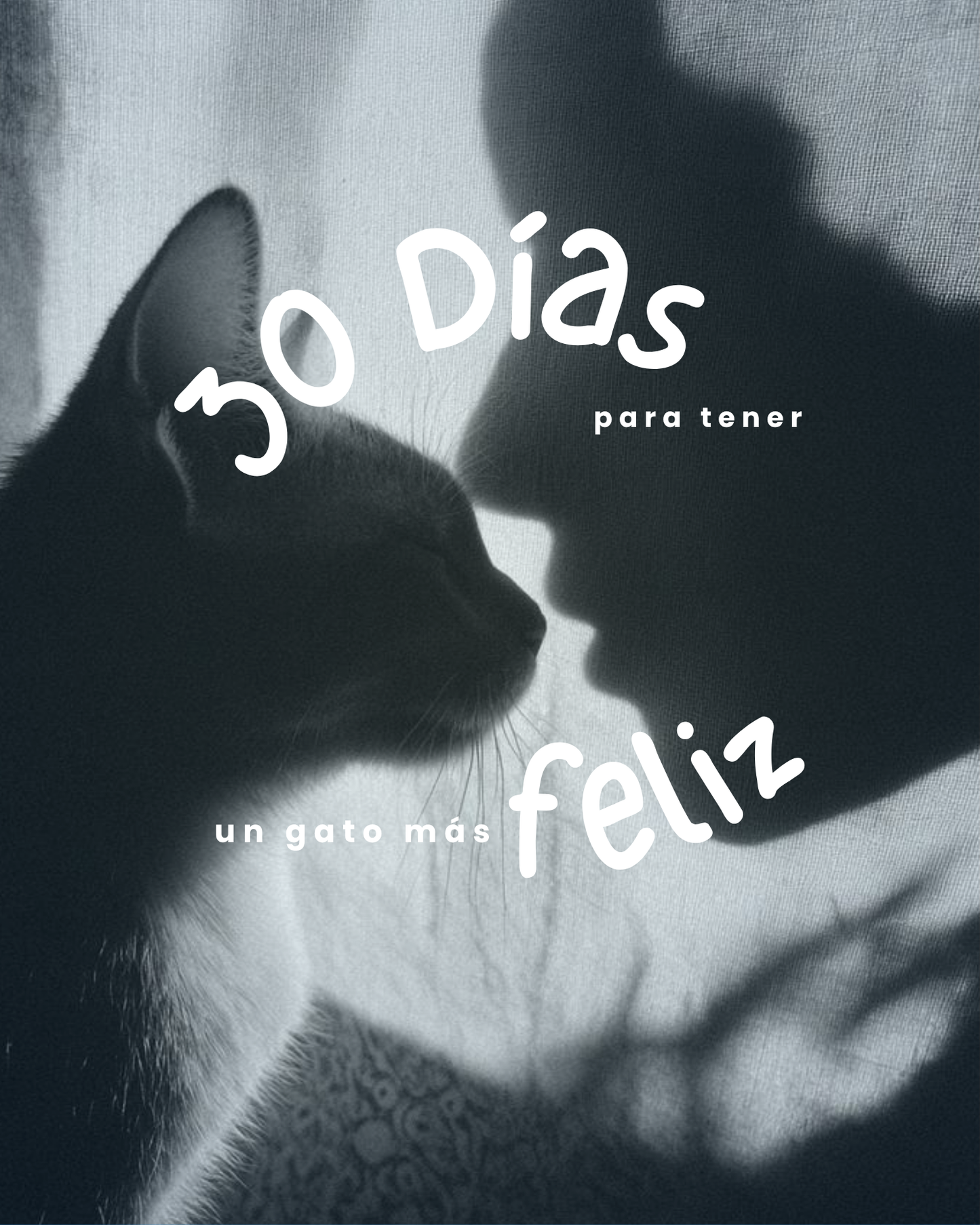 Cómo Tener un Gato Más Feliz en 30 Días
