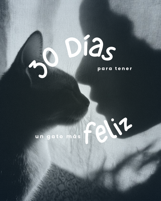 Cómo Tener un Gato Más Feliz en 30 Días